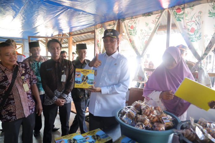 Wakil Bupati Karimun Berikan Bantun Alat UMKM Saat Kunker ke Desa Parit II