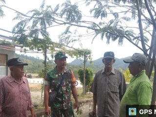 Babinsa Pongkar, Koptu Suhery Melakukan Komsos Bersama Warga Binaannya