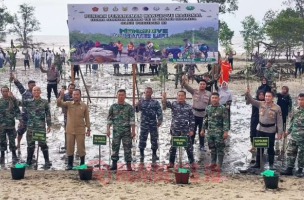 Kodim 0317/TBK tanam 700 bibit Magrove di bibir Pantai Indah, yang berada di Desa Pangke, Kecamatan Meral Barat, Kabupaten Karimun.