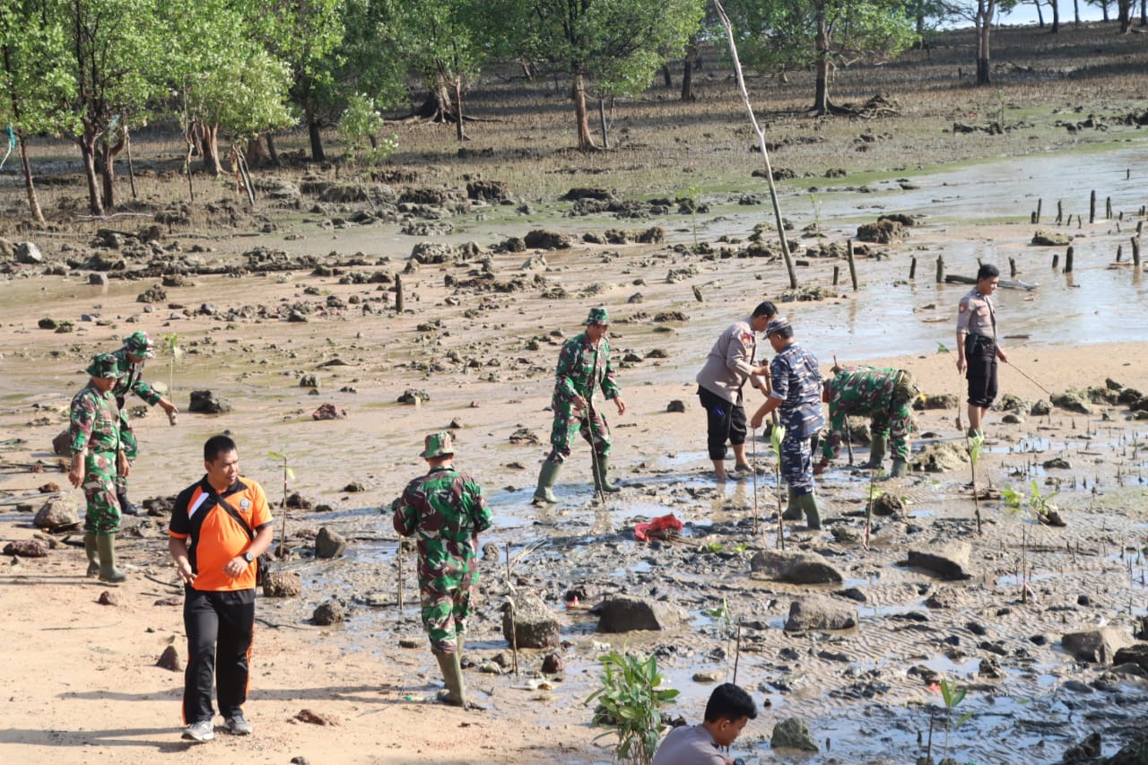 Satpolairud Polres Karimun melaksanakan kegiatan penanaman 1000 bibit pohon magrovove di bibir pantai Coastal Area, Kabupaten Karimun.