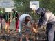 PT Timah Tbk Unit Produksi Kundur mendukung kegiatan penanaman 1000 bibit Mangrove yang ditanam di Pantai Desa Pangke.