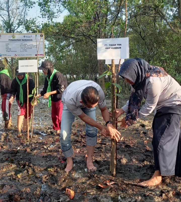 PT Timah Tbk Unit Produksi Kundur mendukung kegiatan penanaman 1000 bibit Mangrove yang ditanam di Pantai Desa Pangke.