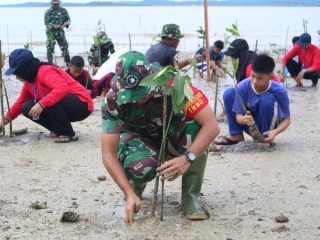 Satgas TMMD ke-117 mengajak para Mahasiswa KKN UK, Siswa-siswi SMA N 1 Buru dan SMP N 1 Buru melakukan 500 bibit pohon mangrove.