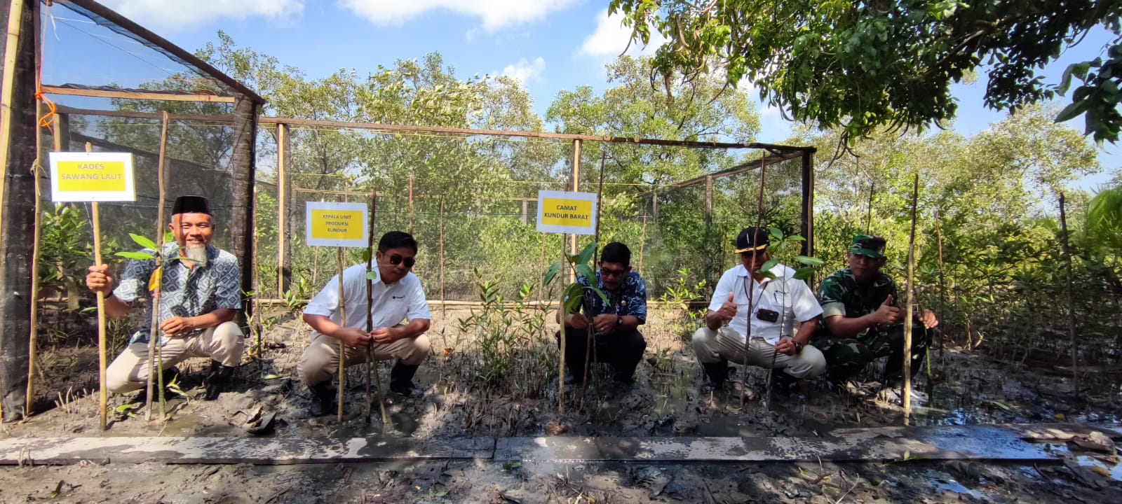 PT Timah Tbk terus melakukan upaya ekarbonisasi dengan melakukan penanaman 1000 batang bibit mangrove di bibir Pantai Batu Tuan.