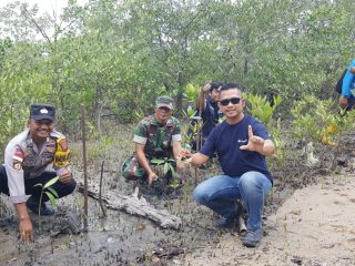 Babinsa Desa Sawang Koramil 03/Kundur, Sertu Yadi Mulyadi ikut menanam 1000 bibit mangrove bersama karyawan UPK PT Timah Tbk dan nelayan.