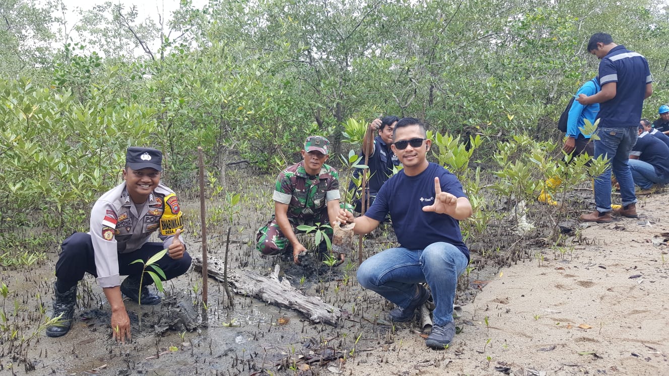 Babinsa Desa Sawang Koramil 03/Kundur, Sertu Yadi Mulyadi ikut menanam 1000 bibit mangrove bersama karyawan UPK PT Timah Tbk dan nelayan.