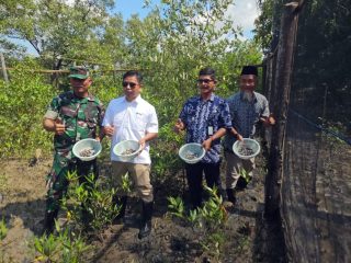 Pokdakan Maju Bersama berhasil panen perdana siput isap dari hasil budidaya siput isap yang dilaksanakan bersama PT Timah Tbk.