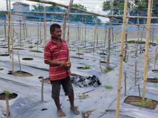 PT Timah Tbk selalu mendukung peningkatan hasil tanaman bagi kelompok tani di wilayah Kabupaten Karimun, Provinsi Kepri.