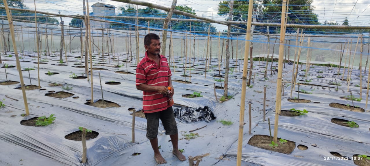 PT Timah Tbk selalu mendukung peningkatan hasil tanaman bagi kelompok tani di wilayah Kabupaten Karimun, Provinsi Kepri.