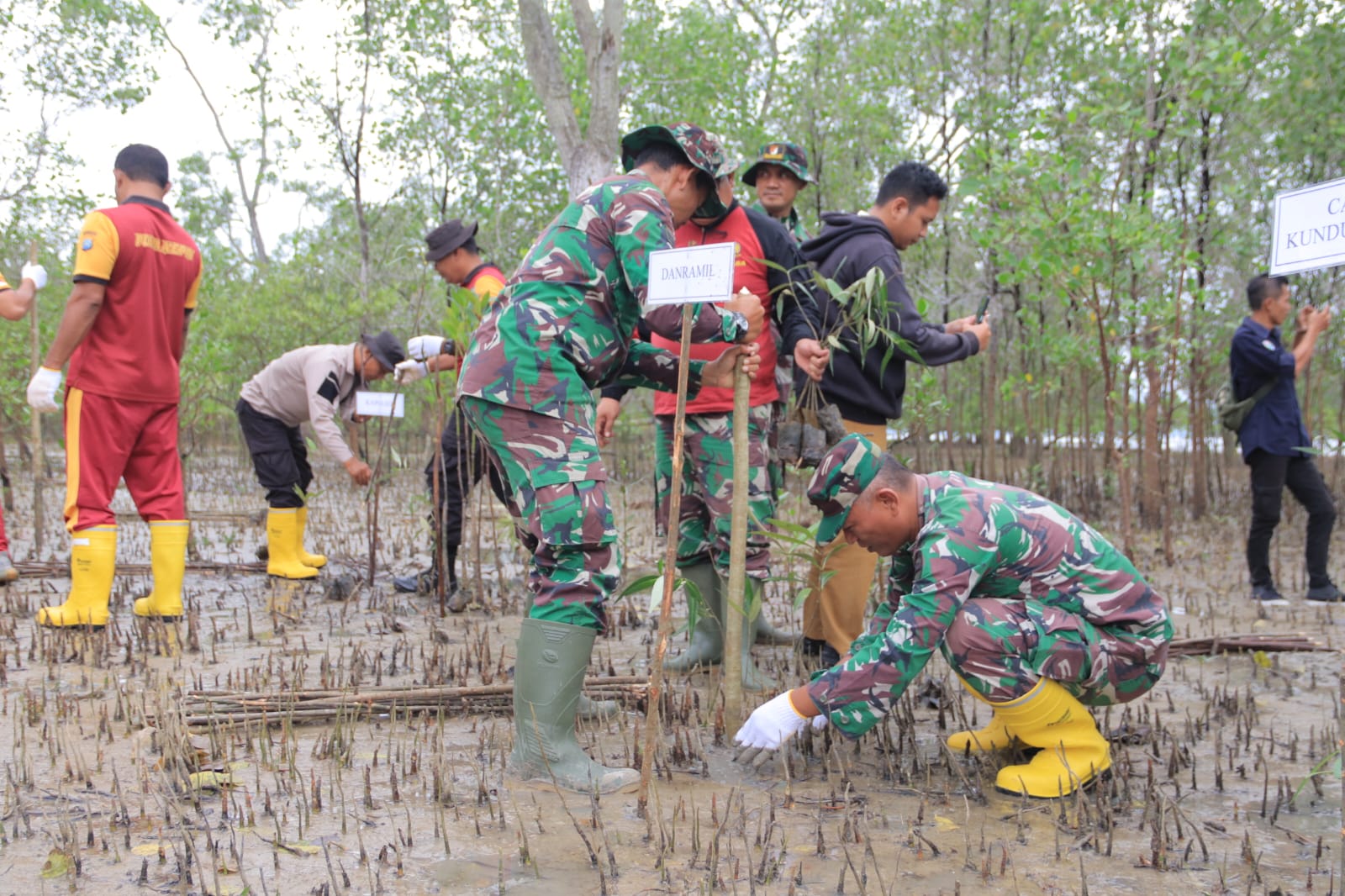 PT Timah Tbk kembali menanam mangrove di wilayah Kundur, Kecamatan Kundur Kabupaten Karimun. Kali ini, penanaman mangrove.