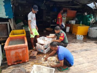 Menjaga hubungan yang lebih baik  Babinsa Kelurahan Sungai Pasir Koramil 01/Balai Praka D. Hasibuan Melaksanakan Komsos Dengan Nelayan Binaan.