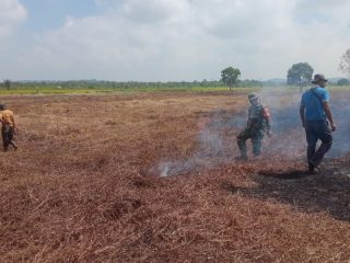 Sebagai upaya mendukung program pemerintah dalam bidang ketahanan pangan, khususnya swasembada pangan, Babinsa Kundur Utara Koramil 03/Kundur.