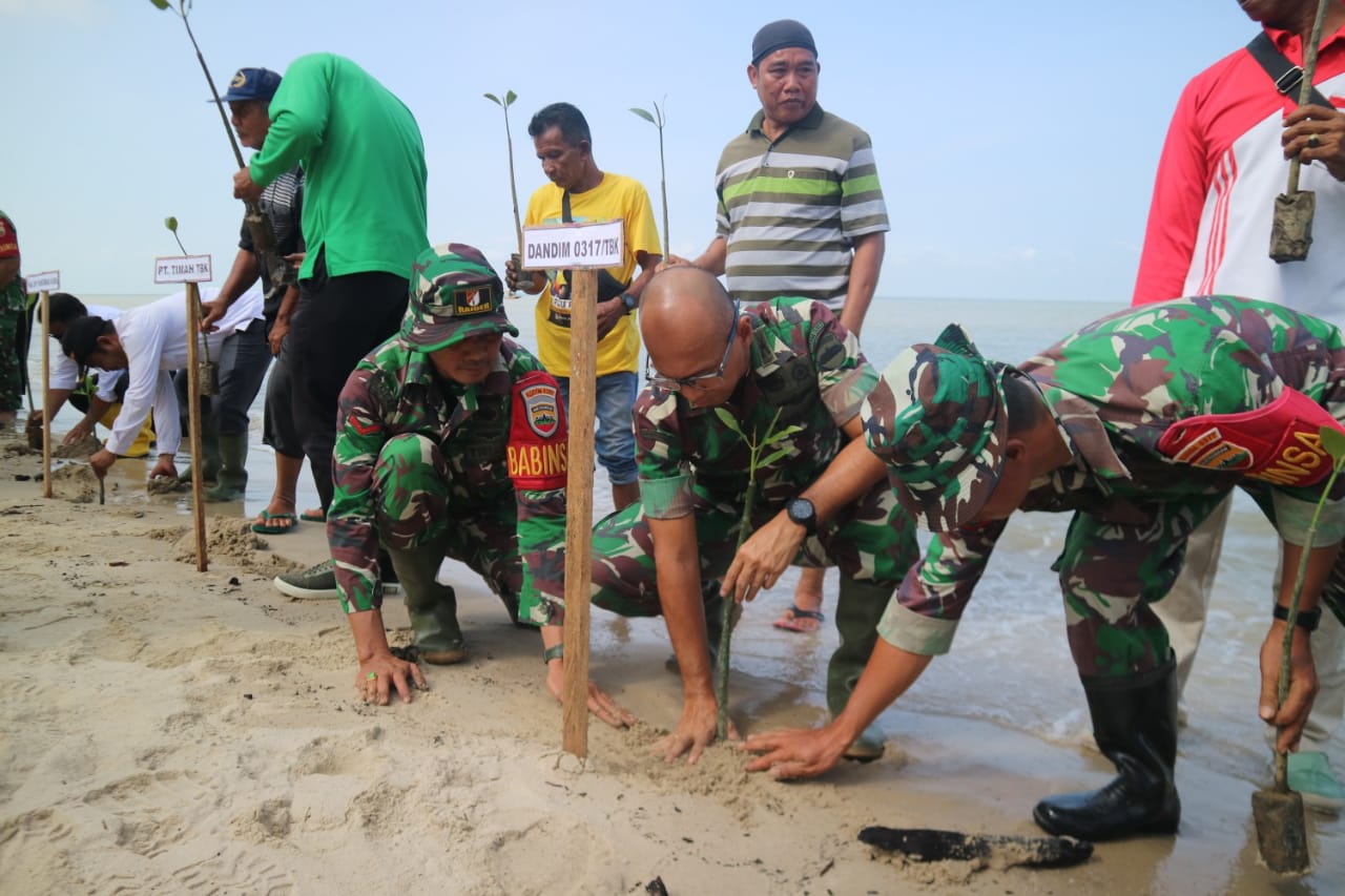 Dandim 0317/TBK, Letkol Inf. Budianto Hamdani Damanik melakukan penanaman mangrove di bibir Pantai PT. Layang RT 03 RW 01 Kelurahan Sawang.