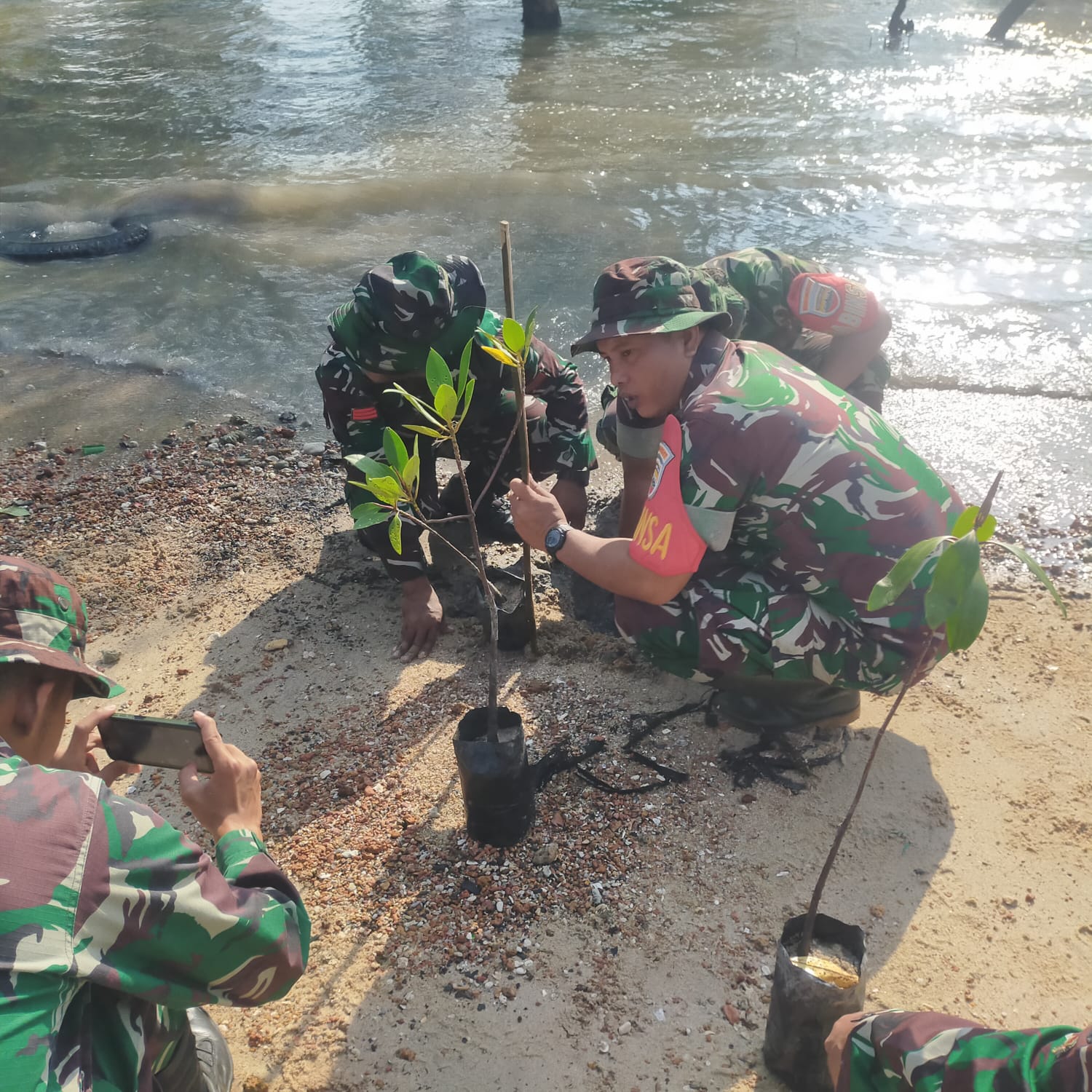 Personel Kodim 0317/TBK melaksanakan kegiatan pembuatan, penyemaian, pembibitan, dan penanaman pohon mangrove Program Bersatu dengan Alam.