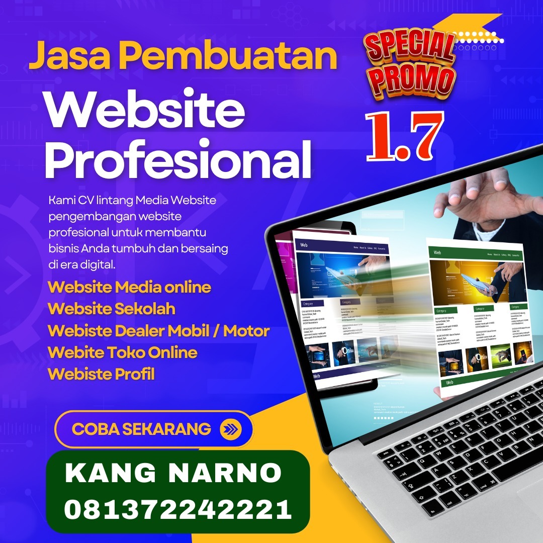 Lagi Promo, Jasa Pembuatan Website Profesional