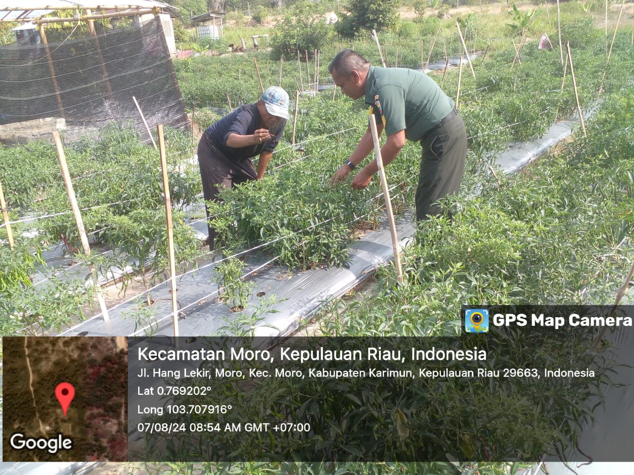 Serma Mula Sinaga, Babinsa dari Koramil 02/Moro melaksanakan kegiatan komunikasi sosial (Komsos) dengan petani lokal di wilayah binaannya.