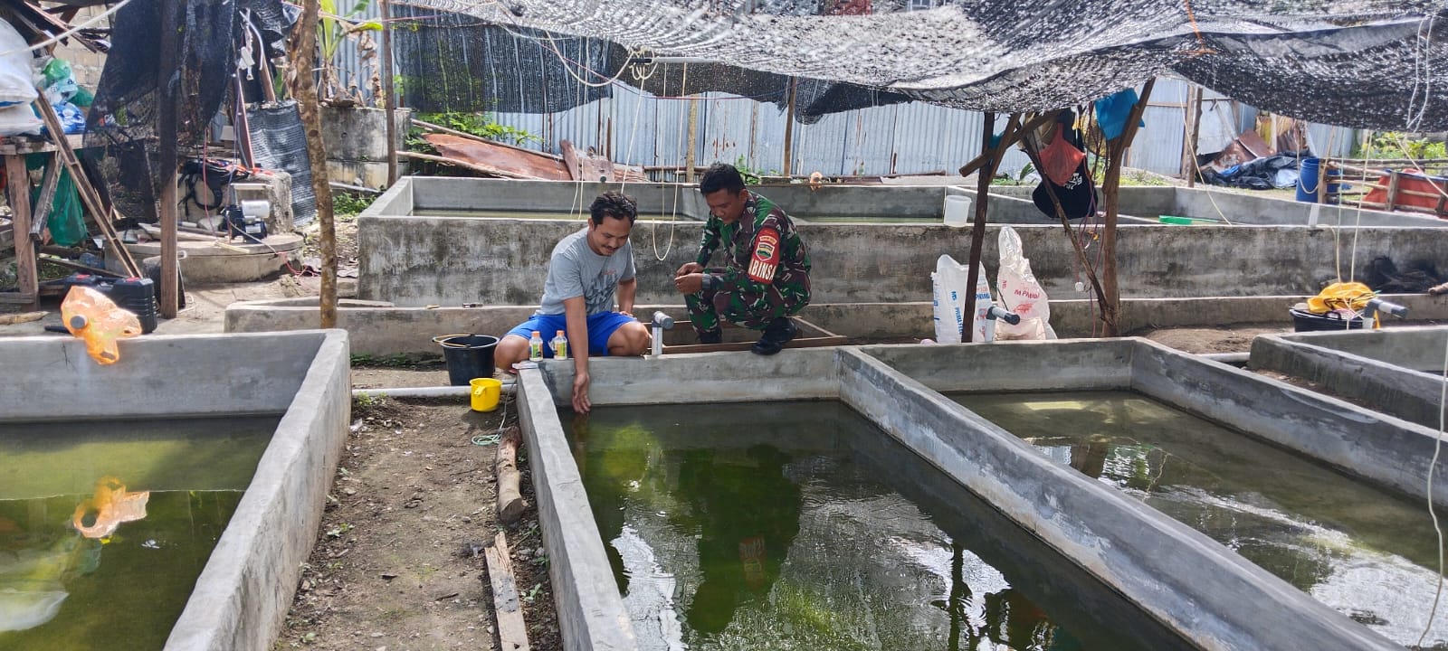 Babinsa Kelurahan Pamak dari Koramil 04/Tebing, Koptu Suhermansyah mendukung mengelola budidaya ikan air tawar.