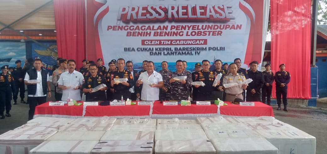 237 Ribu Benih Lobster Digagalkan Tim Gabungan di Perairan Berakit