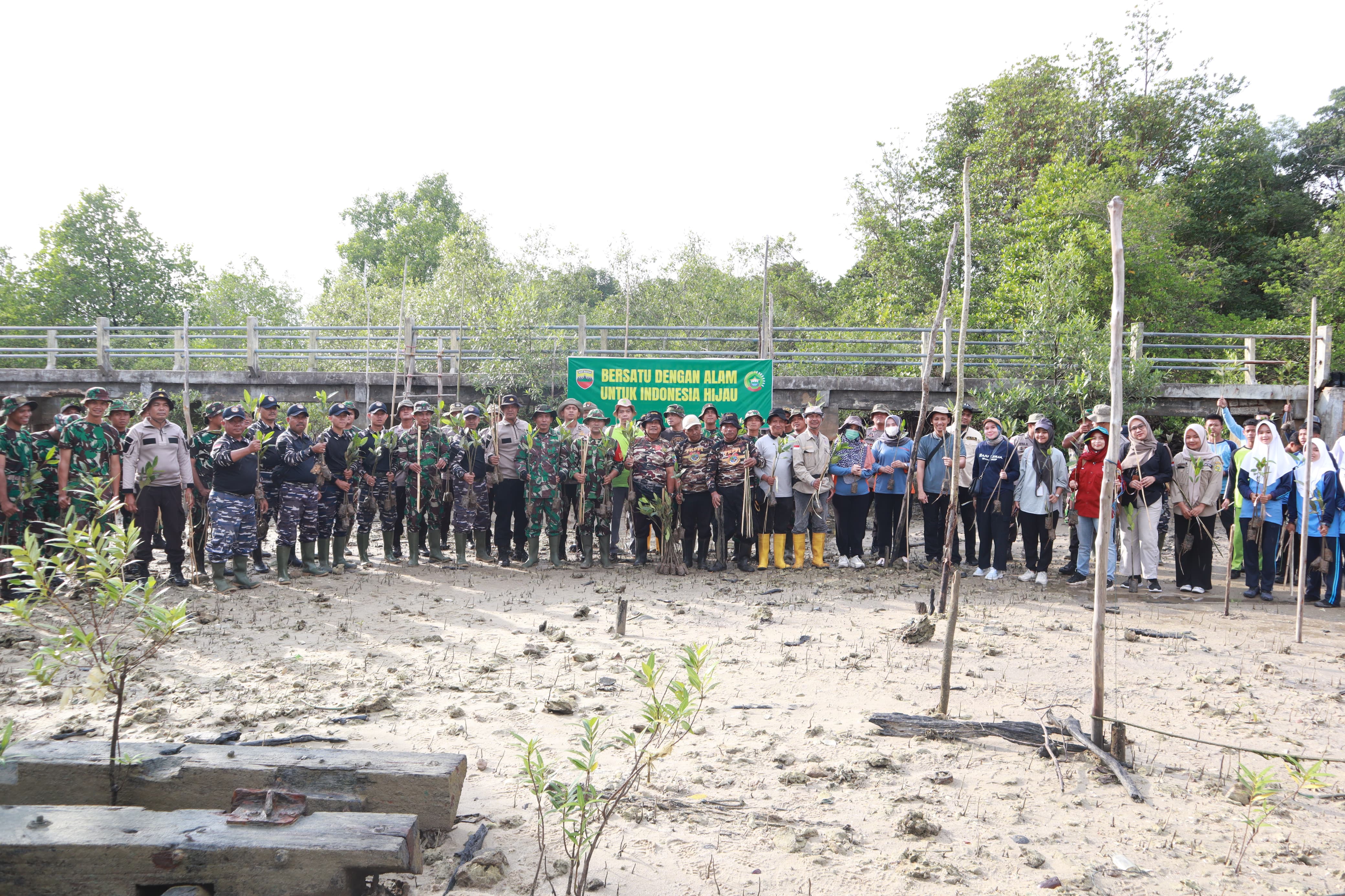 Kodim 0317/TBK Tanam Mangrove di Pantai Desa Pongkar