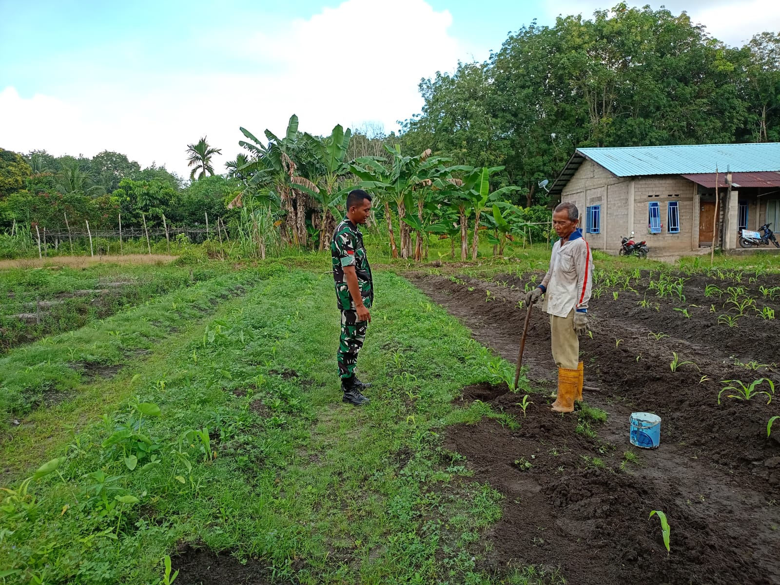 Babinsa Kelurahan Moro Laksanakan Komsos dengan Petani Jagung di Kampung Rawa Mangun